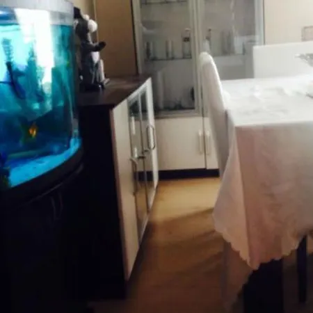 Apartament Green Savanna *